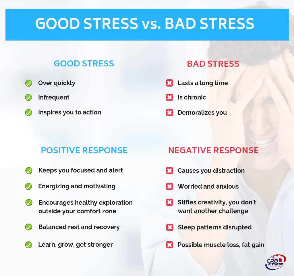 Stress Response(3)