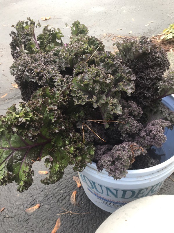 photo - 2019-10-21T141625.755